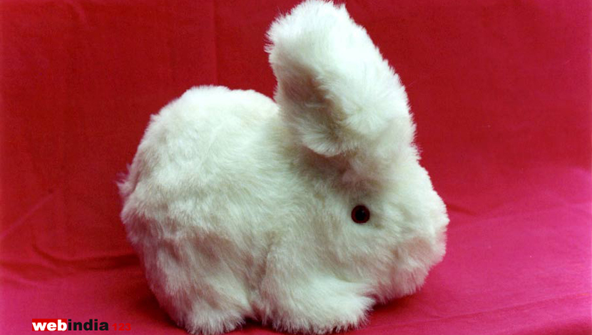 Soft Toy - Rabbit